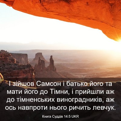 Picture 03 - Книга Суддів 14:5 UKR - І зійшов Самсон і батько - Bible Verse Picture