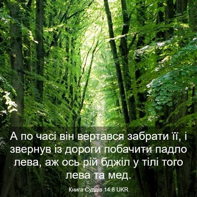 Picture 03 - Книга Суддів 14:8 UKR - А по часі він вертався - Bible Verse Picture
