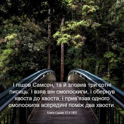 Picture 03 - Книга Суддів 15:4 UKR - І пішов Самсон, та й зловив - Bible Verse Picture
