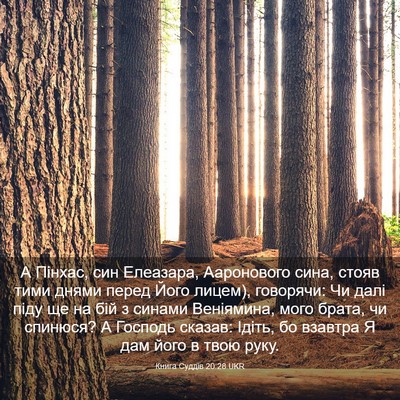 Picture 03 - Книга Суддів 20:28 UKR - А Пінхас, син Елеазара, - Bible Verse Picture