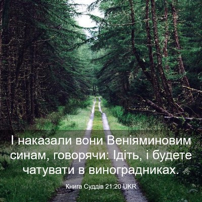 Picture 03 - Книга Суддів 21:20 UKR - І наказали вони - Bible Verse Picture