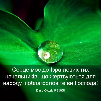 Picture 03 - Книга Суддів 5:9 UKR - Серце моє до Ізраїлевих - Bible Verse Picture