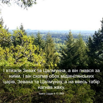 Picture 03 - Книга Суддів 8:12 UKR - І втікали Зевах та - Bible Verse Picture
