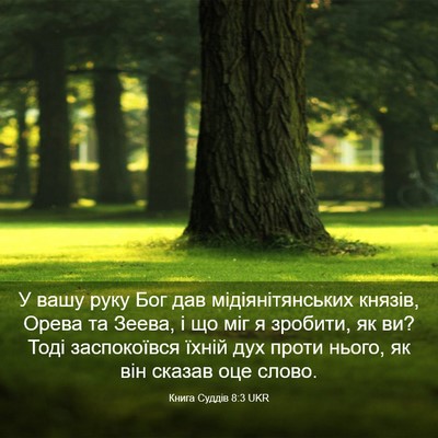 Picture 03 - Книга Суддів 8:3 UKR - У вашу руку Бог дав - Bible Verse Picture