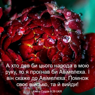 Picture 03 - Книга Суддів 9:29 UKR - А хто дав би цього народа в - Bible Verse Picture