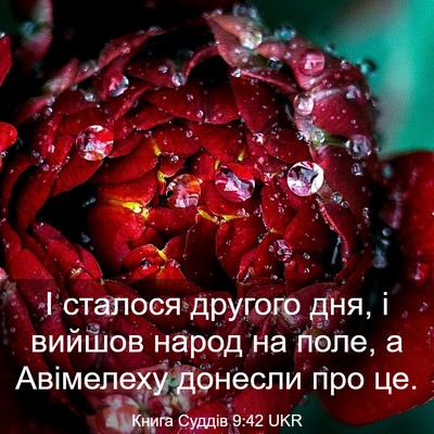Picture 03 - Книга Суддів 9:42 UKR - І сталося другого дня, і - Bible Verse Picture