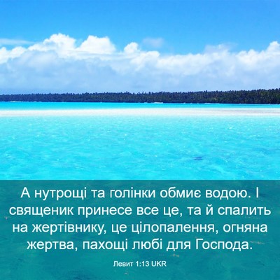 Picture 03 - Левит 1:13 UKR - А нутрощі та голінки обмиє - Bible Verse Picture