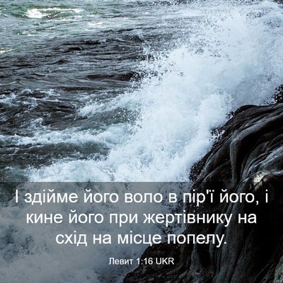 Picture 03 - Левит 1:16 UKR - І здійме його воло в пір'ї - Bible Verse Picture
