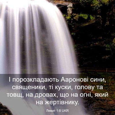 Picture 03 - Левит 1:8 UKR - І порозкладають Ааронові - Bible Verse Picture