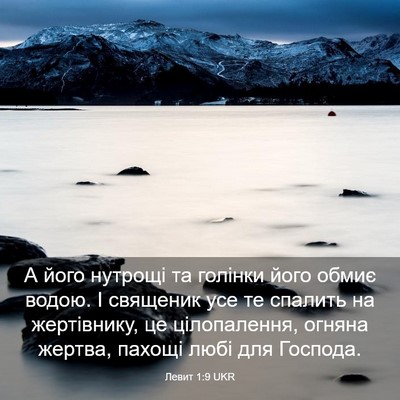Picture 03 - Левит 1:9 UKR - А його нутрощі та голінки - Bible Verse Picture