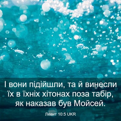 Picture 03 - Левит 10:5 UKR - І вони підійшли, та й - Bible Verse Picture