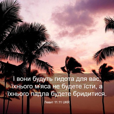 Picture 03 - Левит 11:11 UKR - І вони будуть гидота для - Bible Verse Picture