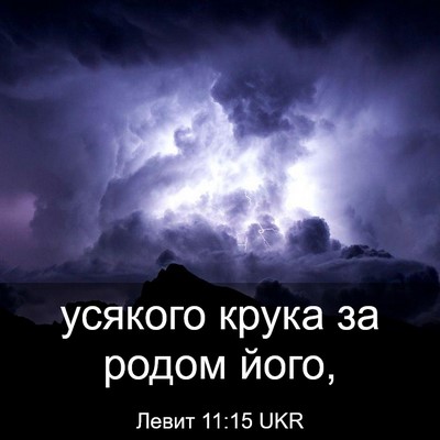 Picture 03 - Левит 11:15 UKR - усякого крука за родом - Bible Verse Picture