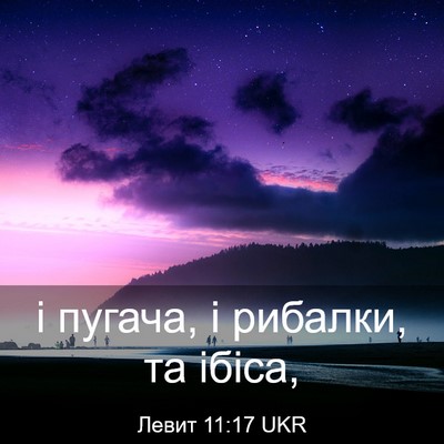 Picture 03 - Левит 11:17 UKR - і пугача, і рибалки, та - Bible Verse Picture