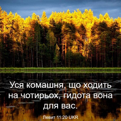 Picture 03 - Левит 11:20 UKR - Уся комашня, що ходить на - Bible Verse Picture