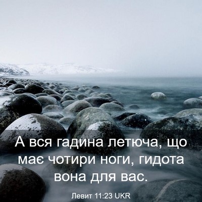 Picture 03 - Левит 11:23 UKR - А вся гадина летюча, що має - Bible Verse Picture