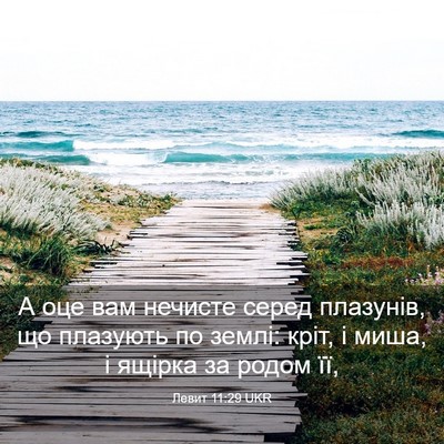 Picture 03 - Левит 11:29 UKR - А оце вам нечисте серед - Bible Verse Picture