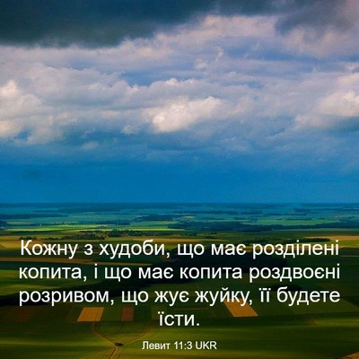 Picture 03 - Левит 11:3 UKR - Кожну з худоби, що має - Bible Verse Picture