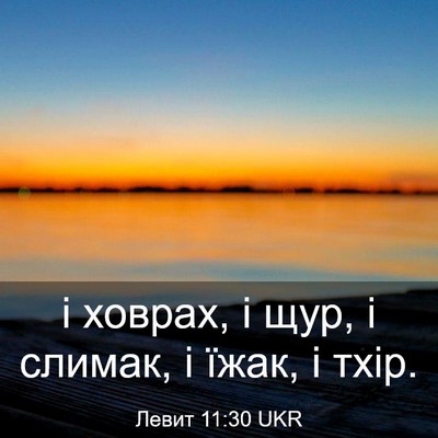 Picture 03 - Левит 11:30 UKR - і ховрах, і щур, і слимак, і - Bible Verse Picture