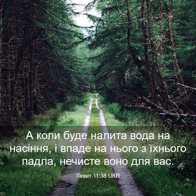 Picture 03 - Левит 11:38 UKR - А коли буде налита вода на - Bible Verse Picture