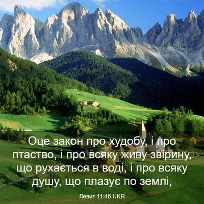 Picture 03 - Левит 11:46 UKR - Оце закон про худобу, і про - Bible Verse Picture