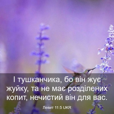 Picture 03 - Левит 11:5 UKR - І тушканчика, бо він жує - Bible Verse Picture
