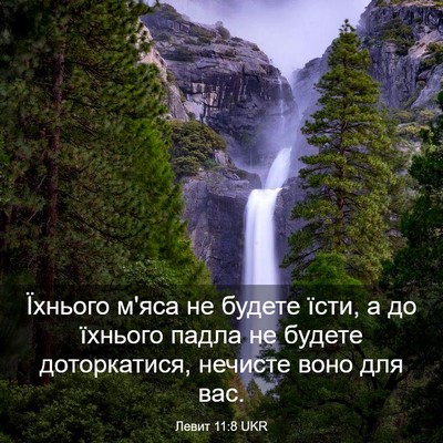 Picture 03 - Левит 11:8 UKR - Їхнього м'яса не будете - Bible Verse Picture