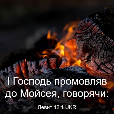 Picture 03 - Левит 12:1 UKR - І Господь промовляв до - Bible Verse Picture