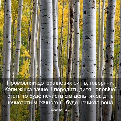Picture 03 - Левит 12:2 UKR - Промовляй до Ізраїлевих - Bible Verse Picture