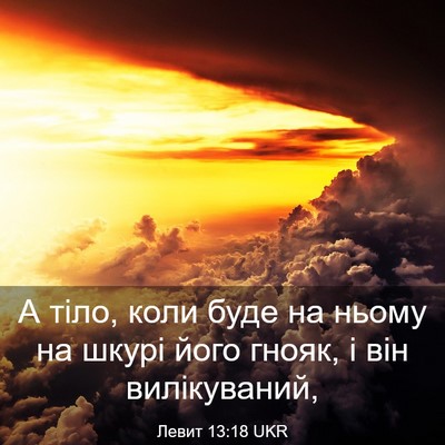 Picture 03 - Левит 13:18 UKR - А тіло, коли буде на ньому - Bible Verse Picture