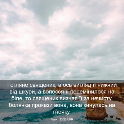 Picture 03 - Левит 13:20 UKR - І огляне священик, а ось - Bible Verse Picture