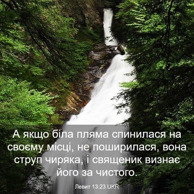 Picture 03 - Левит 13:23 UKR - А якщо біла пляма - Bible Verse Picture