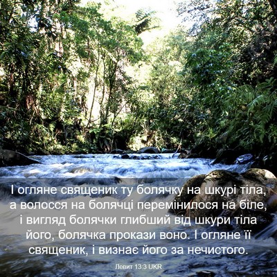 Picture 03 - Левит 13:3 UKR - І огляне священик ту - Bible Verse Picture