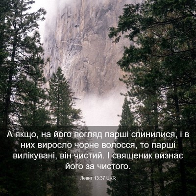 Picture 03 - Левит 13:37 UKR - А якщо, на його погляд - Bible Verse Picture