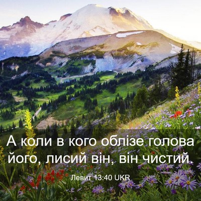 Picture 03 - Левит 13:40 UKR - А коли в кого облізе голова - Bible Verse Picture