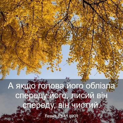 Picture 03 - Левит 13:41 UKR - А якщо голова його облізла - Bible Verse Picture