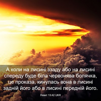 Picture 03 - Левит 13:42 UKR - А коли на лисині ззаду або - Bible Verse Picture