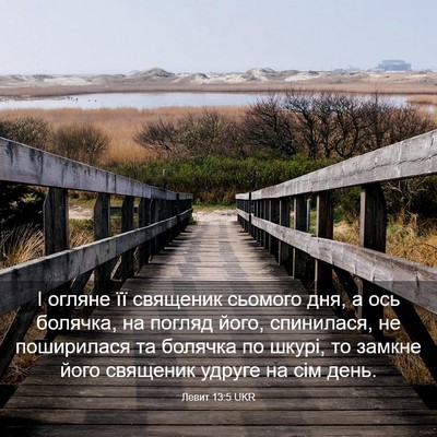 Picture 03 - Левит 13:5 UKR - І огляне її священик - Bible Verse Picture