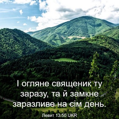 Picture 03 - Левит 13:50 UKR - І огляне священик ту - Bible Verse Picture