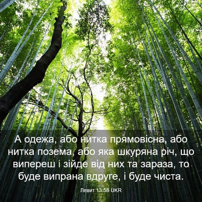 Picture 03 - Левит 13:58 UKR - А одежа, або нитка - Bible Verse Picture