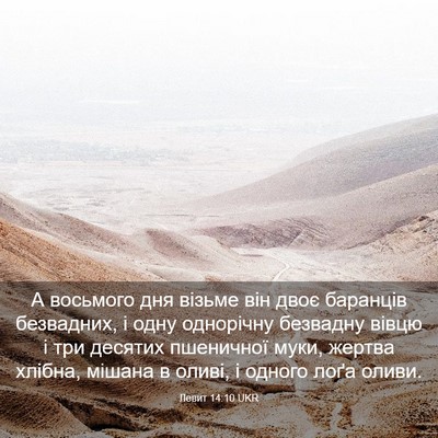 Picture 03 - Левит 14:10 UKR - А восьмого дня візьме він - Bible Verse Picture