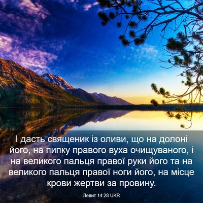 Picture 03 - Левит 14:28 UKR - І дасть священик із оливи, - Bible Verse Picture