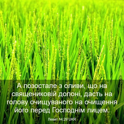 Picture 03 - Левит 14:29 UKR - А позостале з оливи, що на - Bible Verse Picture