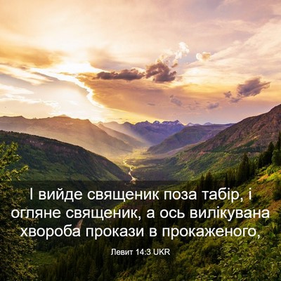 Picture 03 - Левит 14:3 UKR - І вийде священик поза - Bible Verse Picture
