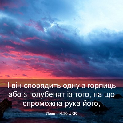 Picture 03 - Левит 14:30 UKR - І він спорядить одну з - Bible Verse Picture