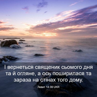 Picture 03 - Левит 14:39 UKR - І вернеться священик - Bible Verse Picture