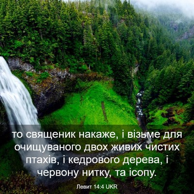Picture 03 - Левит 14:4 UKR - то священик накаже, і - Bible Verse Picture