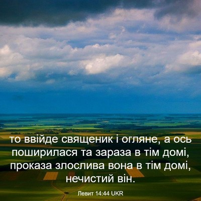 Picture 03 - Левит 14:44 UKR - то ввійде священик і - Bible Verse Picture