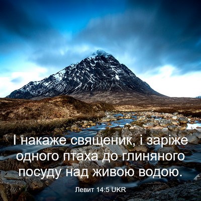 Picture 03 - Левит 14:5 UKR - І накаже священик, і заріже - Bible Verse Picture