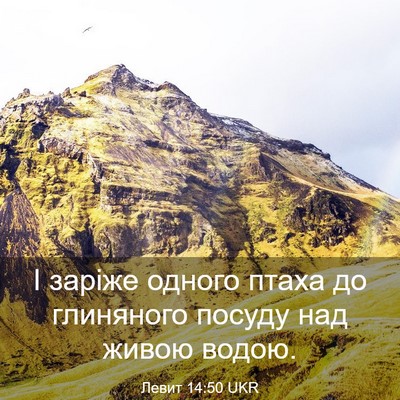 Picture 03 - Левит 14:50 UKR - І заріже одного птаха до - Bible Verse Picture
